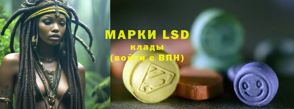 шишки Елабуга